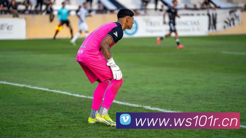 半岛在线登录首页APP 体育赛事宣传图